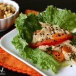 600afd_X_IMG_3838_asian-chicken-salad-lettuce-wraps-copy