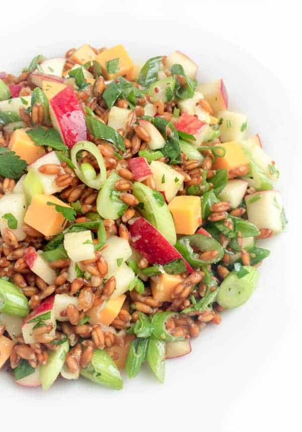 Spelt Salad with Apples, Scallions and Cheese - The Lemon Bowl