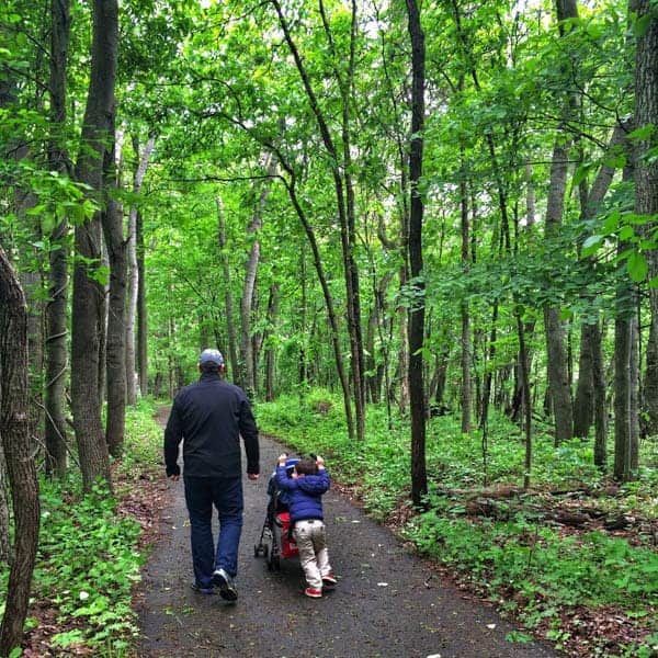 Nature Walk - The Lemon Bowl