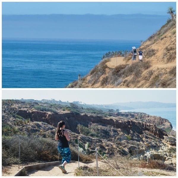 hiking-torrey-pines-state-reserve