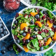 cranberry-blueberry-spring-mix-salad-blueberry-balsamic-dressing-recipe-peasandcrayons-1070