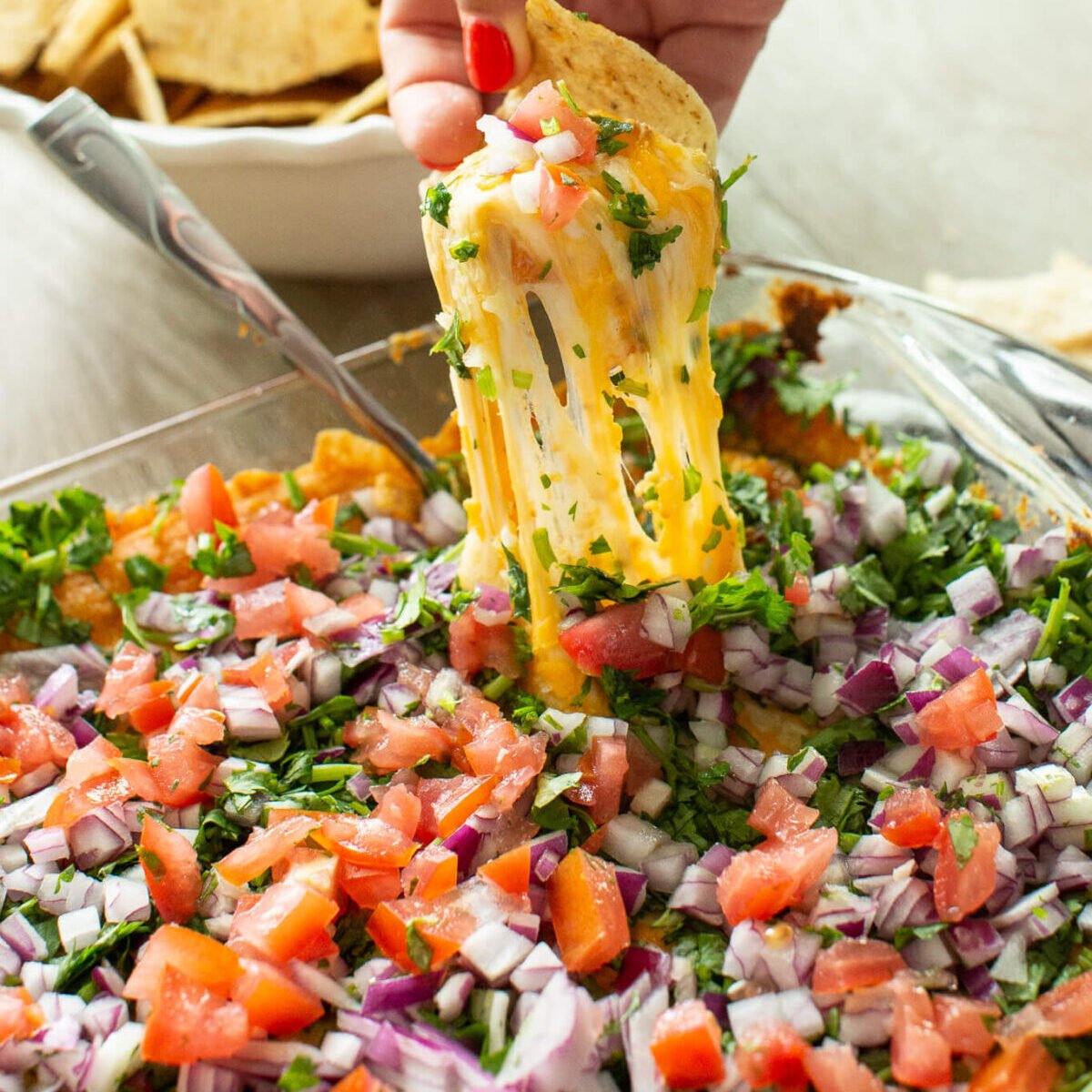 Cheese Mexican Layered Hummus Dip
