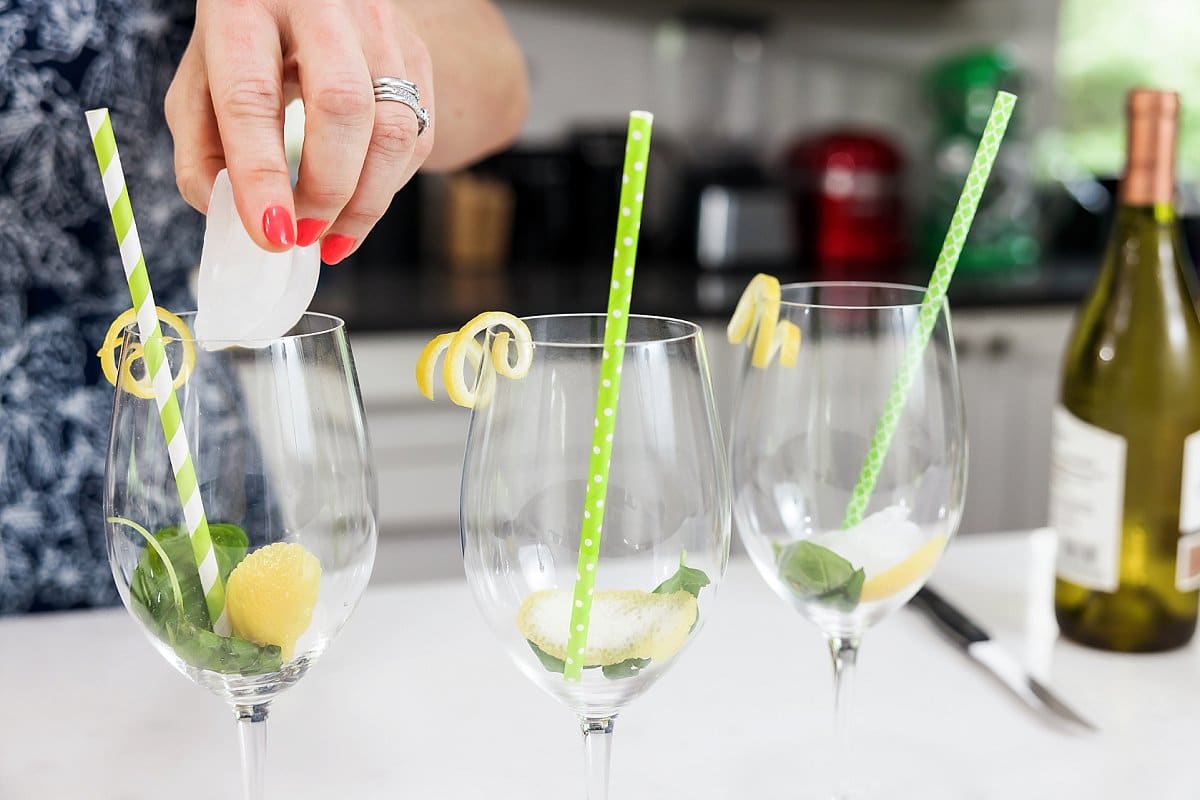 Garnishes white wine spritzer