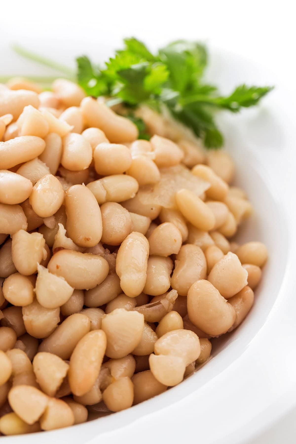 Bowl of cooked white beans.