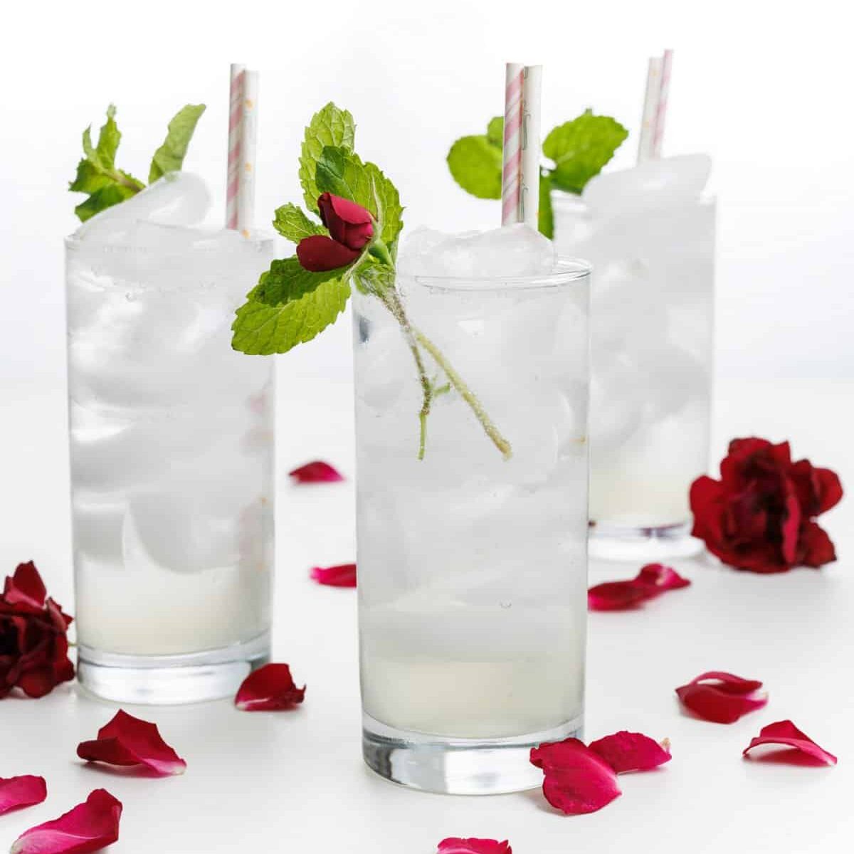Rose Water Cooler