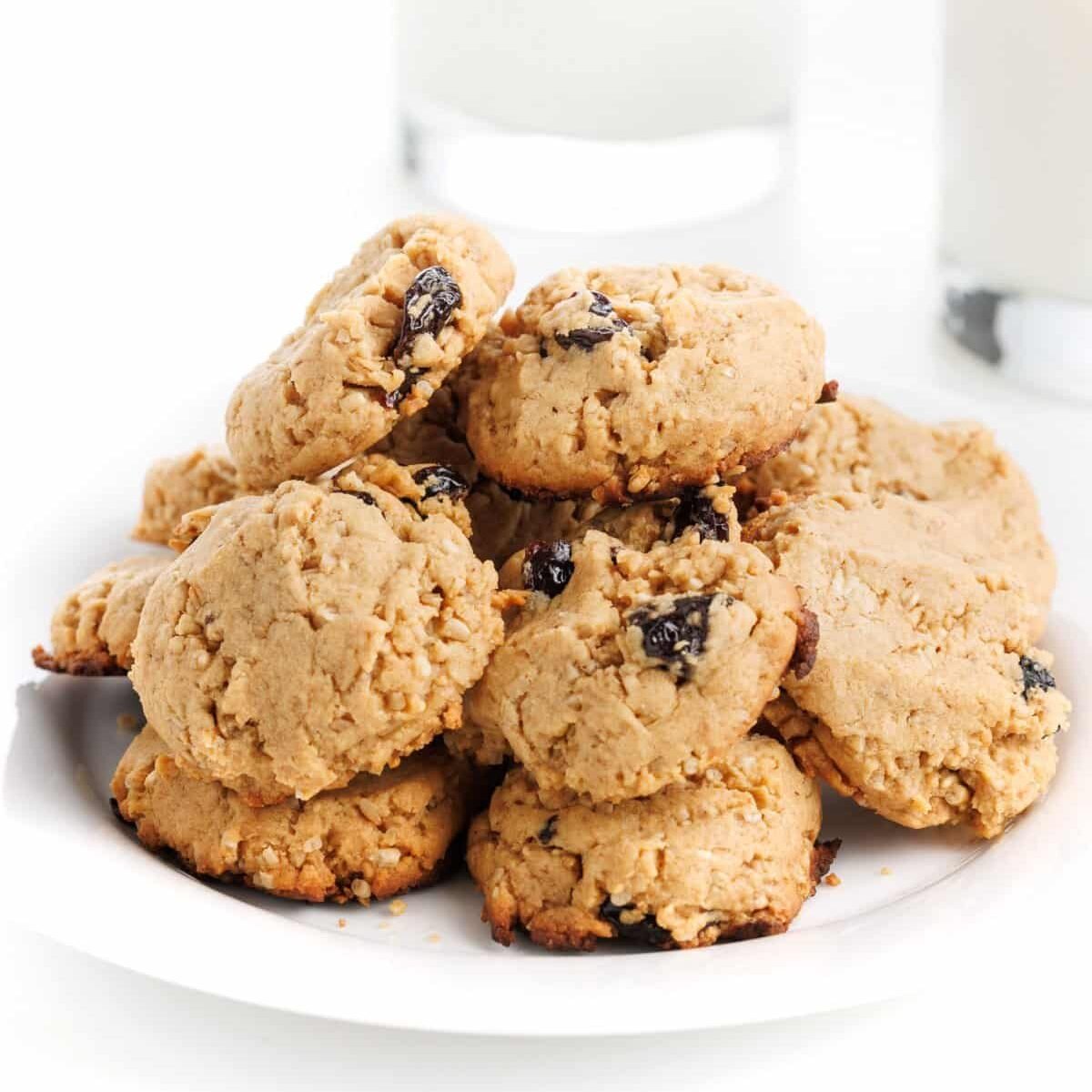 Wheels of Steel Peanut Butter Health Cookies