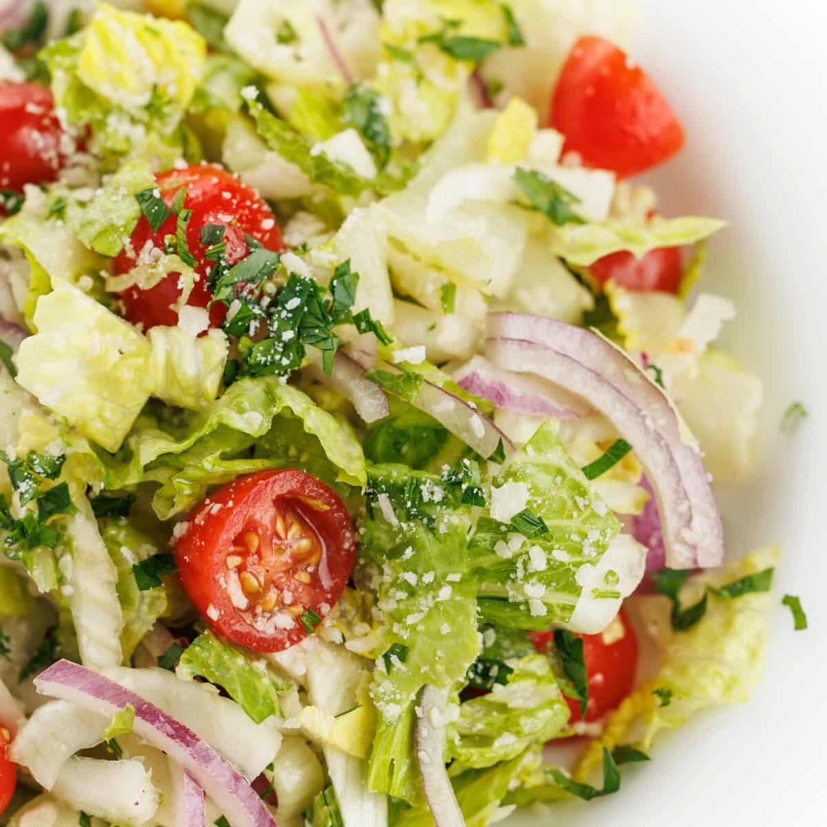 Italian Garden Salad with Fennel