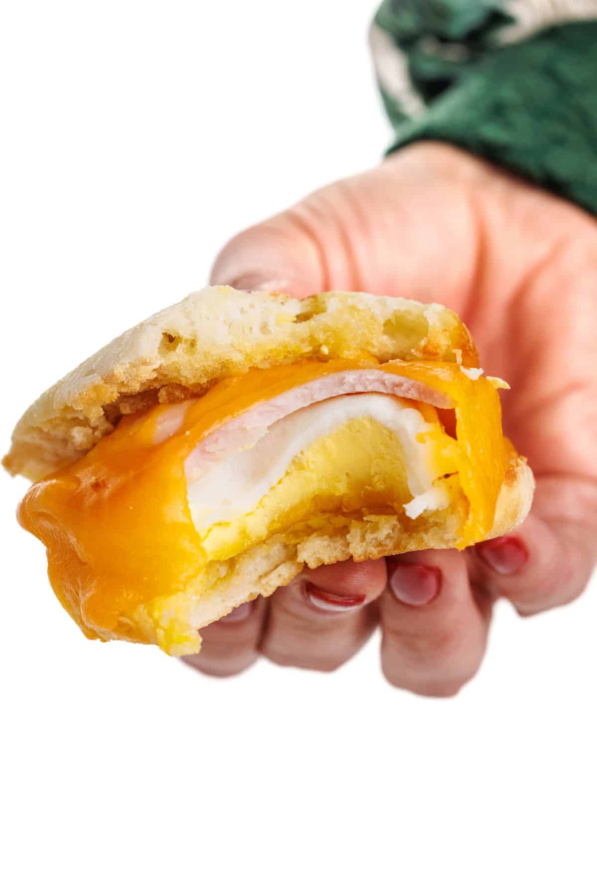 Holding an egg, ham, and cheese breakfast sandwich.