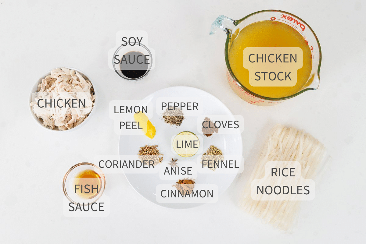 Labeled ingredients for slow cooker pho inspired chicken soup against a white backdrop.