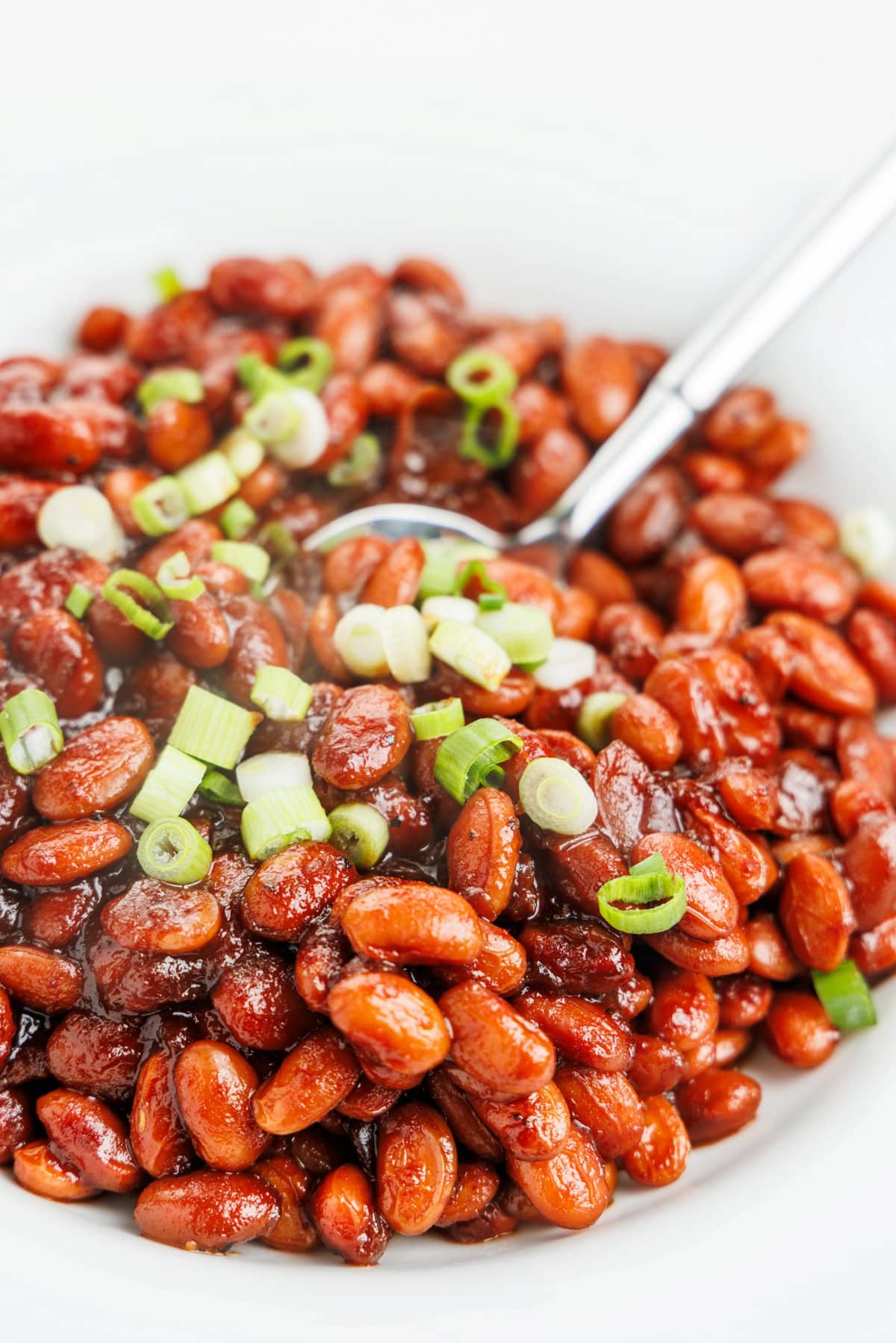 Spoon in a bowl of slow cooker Boston baked beans.