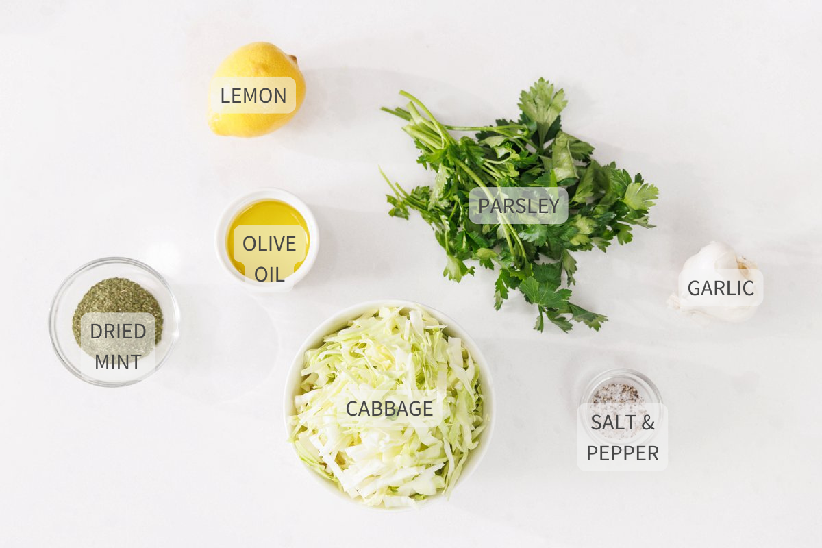 Labeled ingredients for Lebanese cabbage salad on a white counter.